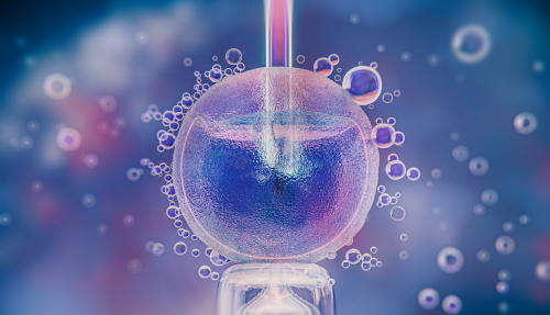 Embryologists-carpusoft
